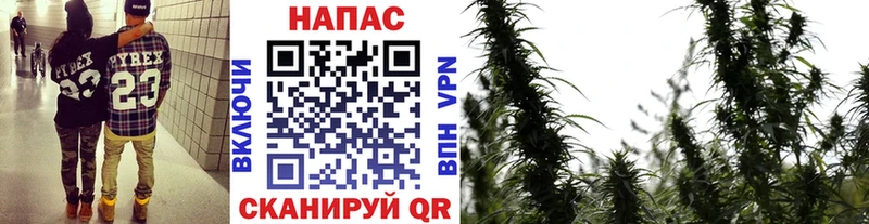 Купить наркотик аптеки Ужур Амфетамин  Гашиш  Канабис  Cocaine 