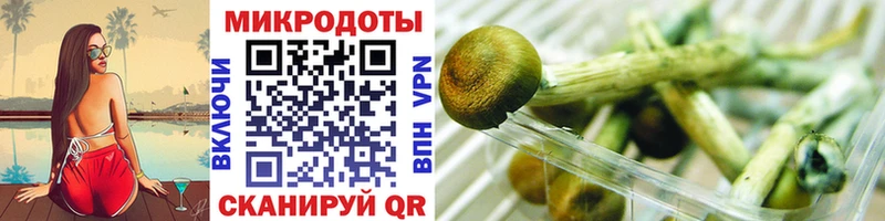 Галлюциногенные грибы Psilocybine cubensis где можно купить наркотик Ужур